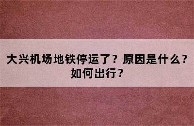 大兴机场地铁停运了？原因是什么？如何出行？