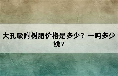 大孔吸附树脂价格是多少？一吨多少钱？