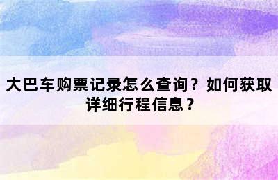 大巴车购票记录怎么查询？如何获取详细行程信息？