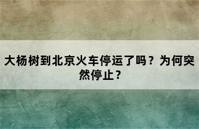 大杨树到北京火车停运了吗？为何突然停止？