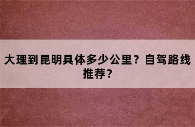 大理到昆明具体多少公里？自驾路线推荐？