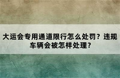 大运会专用通道限行怎么处罚？违规车辆会被怎样处理？