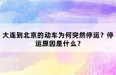 大连到北京的动车为何突然停运？停运原因是什么？