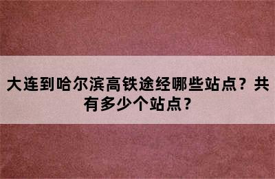 大连到哈尔滨高铁途经哪些站点？共有多少个站点？
