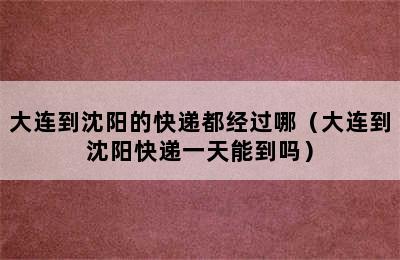 大连到沈阳的快递都经过哪（大连到沈阳快递一天能到吗）