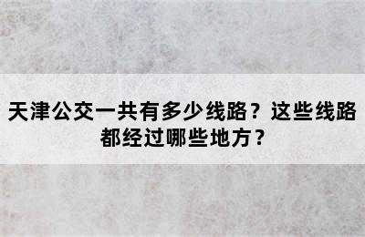 天津公交一共有多少线路？这些线路都经过哪些地方？