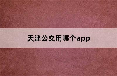 天津公交用哪个app