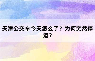 天津公交车今天怎么了？为何突然停运？