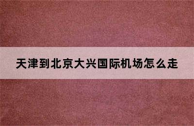 天津到北京大兴国际机场怎么走