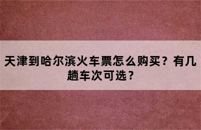 天津到哈尔滨火车票怎么购买？有几趟车次可选？