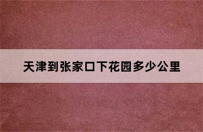 天津到张家口下花园多少公里