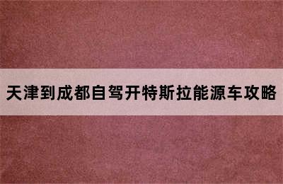 天津到成都自驾开特斯拉能源车攻略