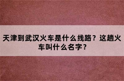 天津到武汉火车是什么线路？这趟火车叫什么名字？