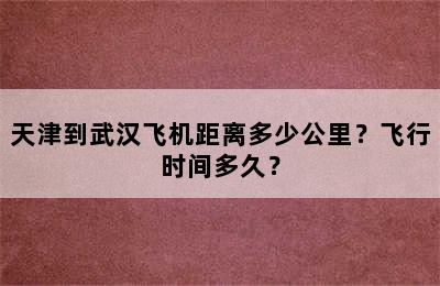 天津到武汉飞机距离多少公里？飞行时间多久？