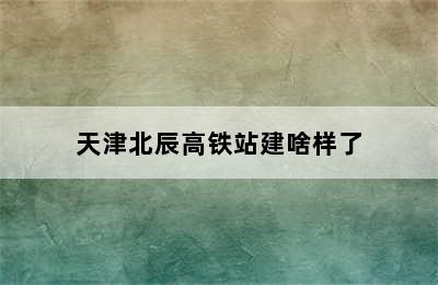 天津北辰高铁站建啥样了