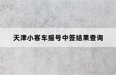 天津小客车摇号中签结果查询
