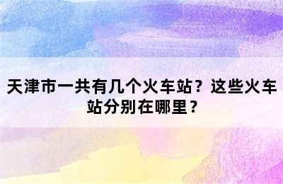 天津市一共有几个火车站？这些火车站分别在哪里？