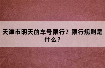 天津市明天的车号限行？限行规则是什么？