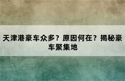 天津港豪车众多？原因何在？揭秘豪车聚集地