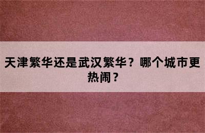 天津繁华还是武汉繁华？哪个城市更热闹？