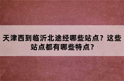 天津西到临沂北途经哪些站点？这些站点都有哪些特点？