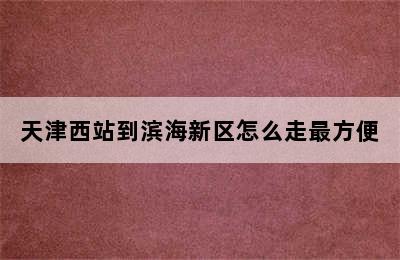 天津西站到滨海新区怎么走最方便