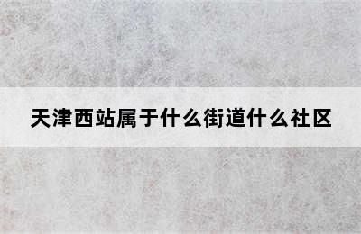 天津西站属于什么街道什么社区