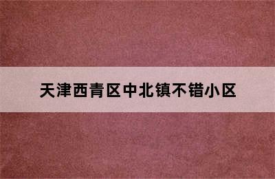 天津西青区中北镇不错小区