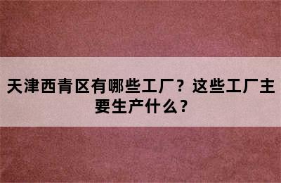 天津西青区有哪些工厂？这些工厂主要生产什么？