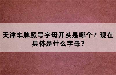 天津车牌照号字母开头是哪个？现在具体是什么字母？