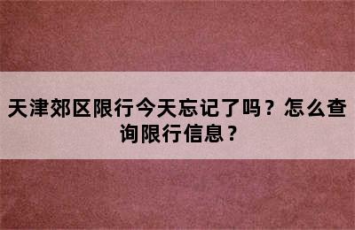 天津郊区限行今天忘记了吗？怎么查询限行信息？