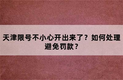 天津限号不小心开出来了？如何处理避免罚款？
