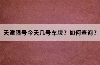 天津限号今天几号车牌？如何查询？
