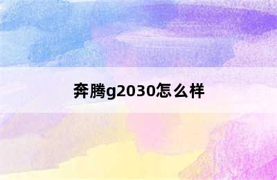 奔腾g2030怎么样