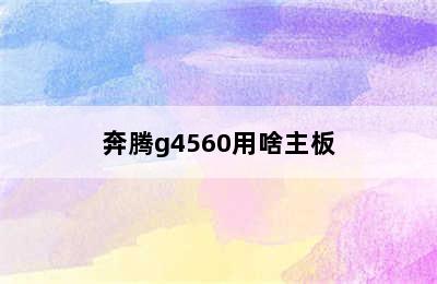 奔腾g4560用啥主板