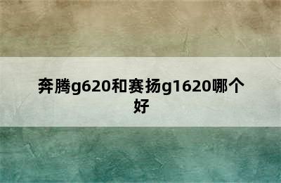 奔腾g620和赛扬g1620哪个好