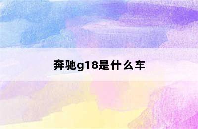 奔驰g18是什么车