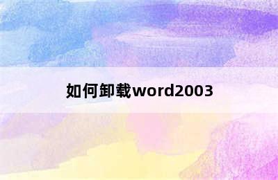 如何卸载word2003