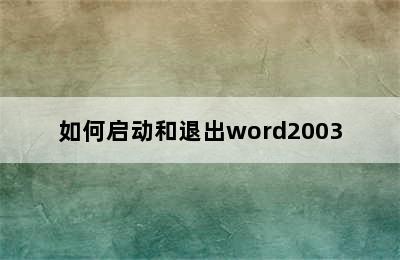 如何启动和退出word2003