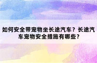 如何安全带宠物坐长途汽车？长途汽车宠物安全措施有哪些？
