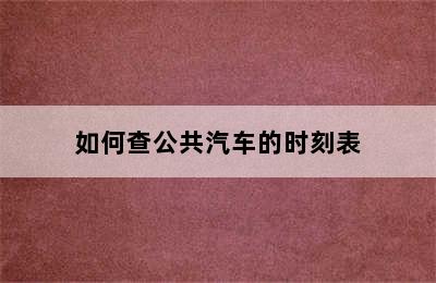 如何查公共汽车的时刻表