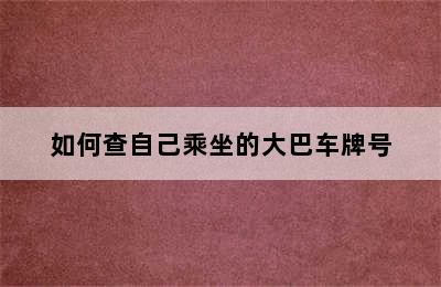 如何查自己乘坐的大巴车牌号