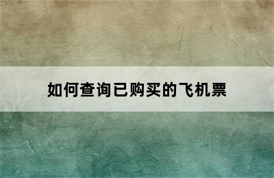 如何查询已购买的飞机票
