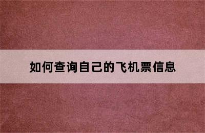 如何查询自己的飞机票信息