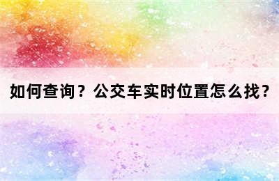 如何查询？公交车实时位置怎么找？