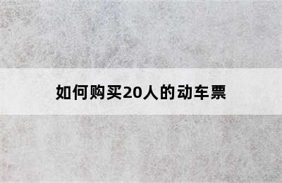 如何购买20人的动车票