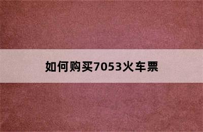 如何购买7053火车票