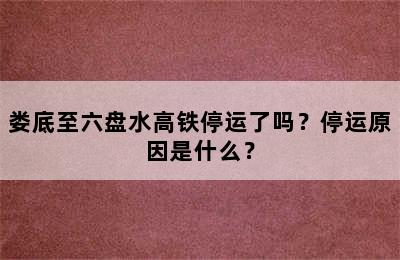 娄底至六盘水高铁停运了吗？停运原因是什么？