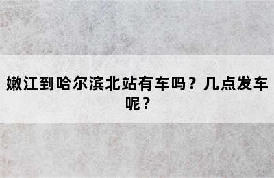嫩江到哈尔滨北站有车吗？几点发车呢？