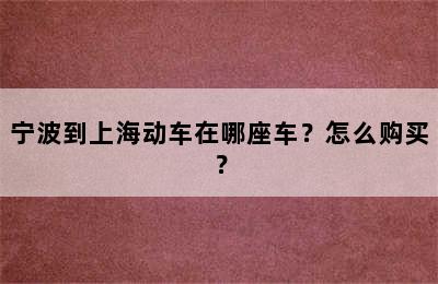 宁波到上海动车在哪座车？怎么购买？